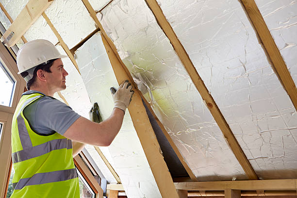 Best Specialty Insulation in Trowbridge Park, MI