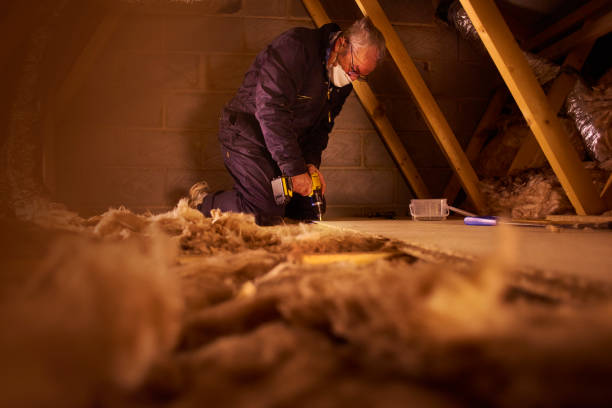 Best Specialty Insulation in Trowbridge Park, MI