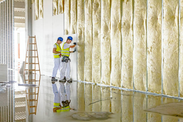 Best Insulation Materials and Products in Trowbridge Park, MI